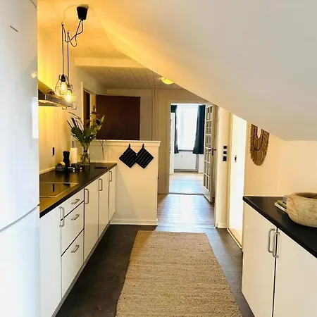 Og Rummelig I Apartamento Vejle