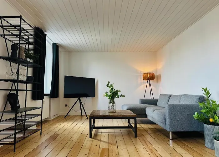 Og Rummelig I Apartamento Vejle